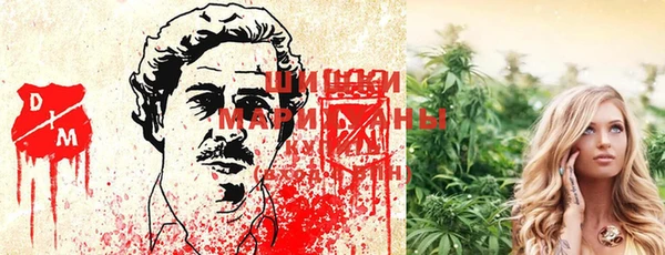 не бодяженный Новодвинск