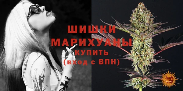 прущие грибы Новозыбков