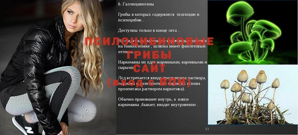 соль курить ск Алексеевка