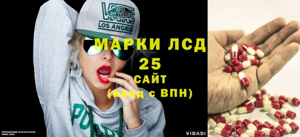 PSILOCYBIN Абдулино