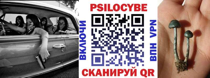 Псилоцибиновые грибы Cubensis  Серпухов 